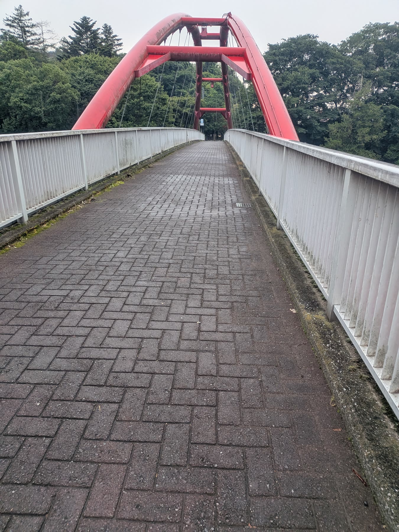 飯能河原付近の割岩橋